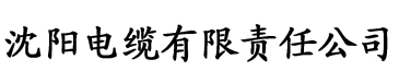 草莓视频啊啊污电缆厂logo